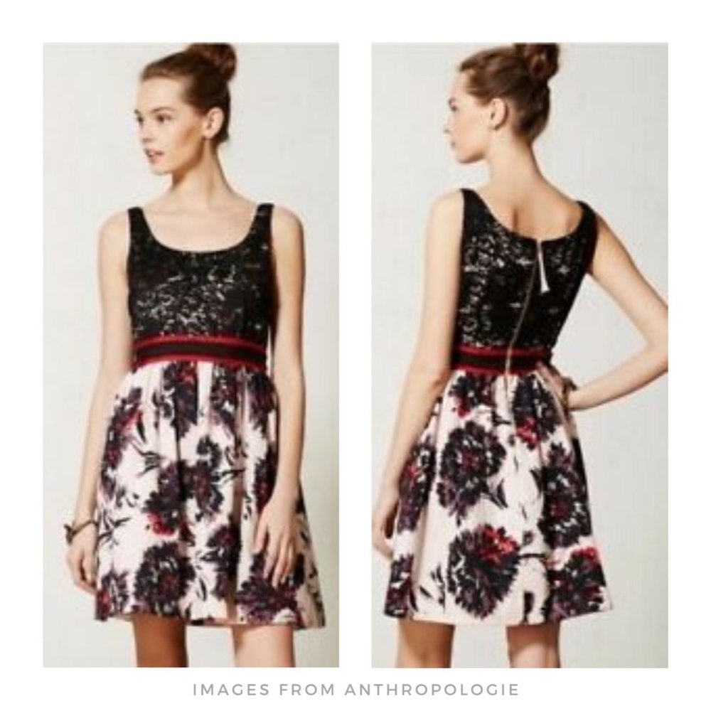 Anthropologie ▪ Brushtroke Blossoms Dress